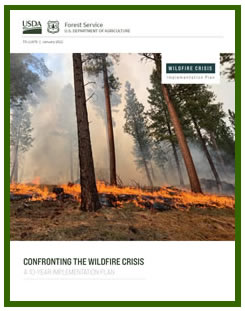 USFS Wildfire-Crisis-Implementation-Plan - January 2022
